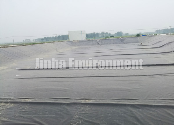 Zhengyang Black Membrane Bioga